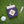 Load image into Gallery viewer, Golfers Hip Flask & Divot tool set